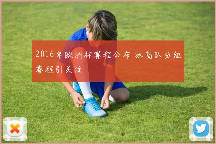 2016年欧洲杯赛程公布 冰岛队分组赛程引关注