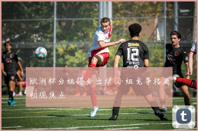 欧洲杯分组得分出炉 小组竞争格局初现焦点