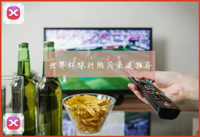 世界杯球杆购买渠道推荐