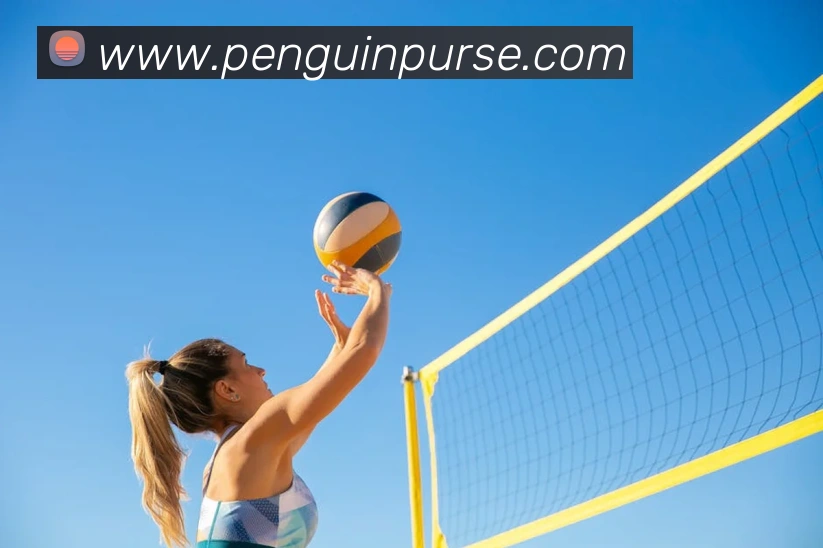 世界杯app官网APP 封面图